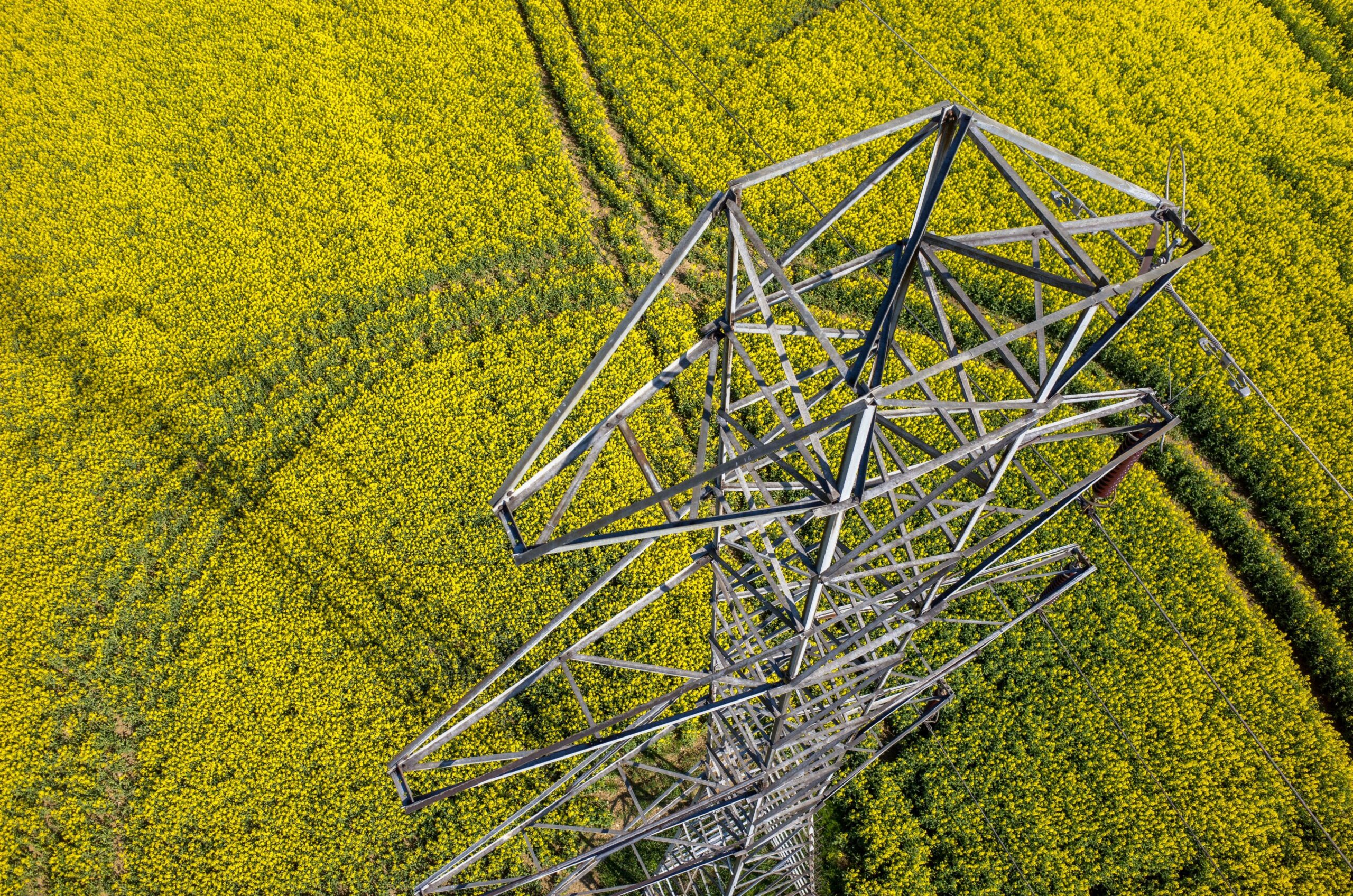 What will set power prices in Germany?